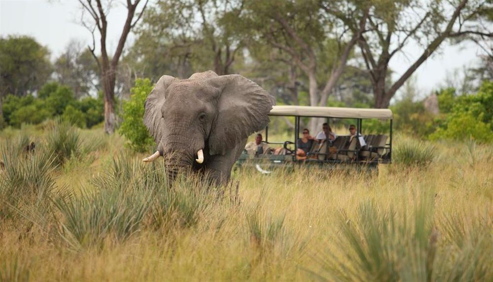 Nxabega Okavango Tented Camp